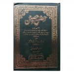 Hisne Hasin Jadid